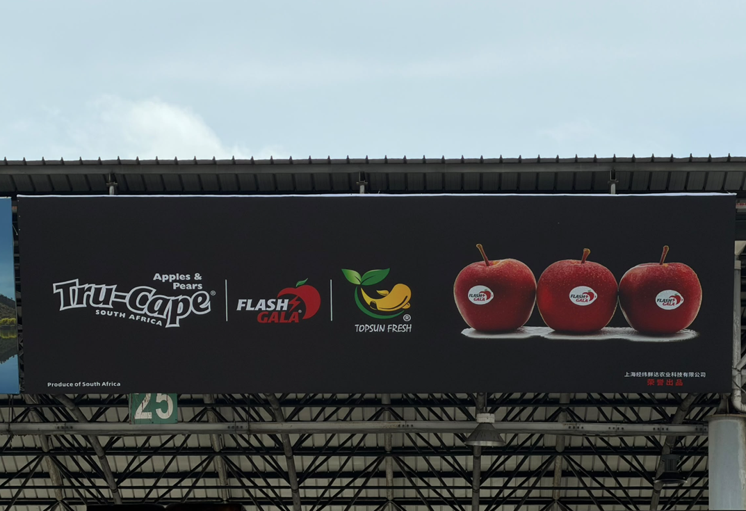 Importador chino apoya a las manzanas sudafricanas con histórica campaña de vallas publicitarias 2 Importador chino apoya a las manzanas sudafricanas con histórica campaña de vallas publicitarias