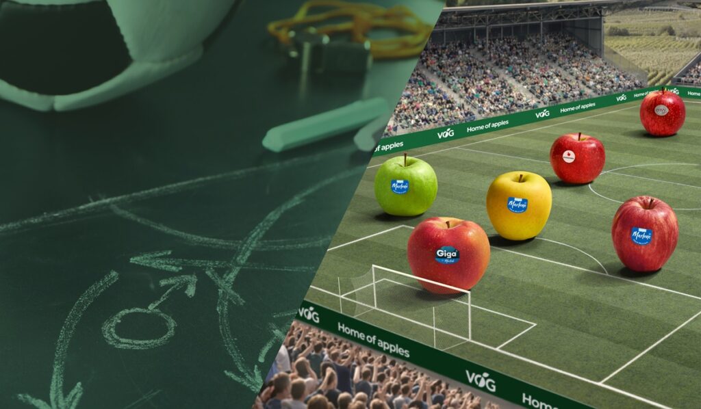 VOG apuesta por una oferta segmentada para impulsar el consumo de manzanas durante el verano