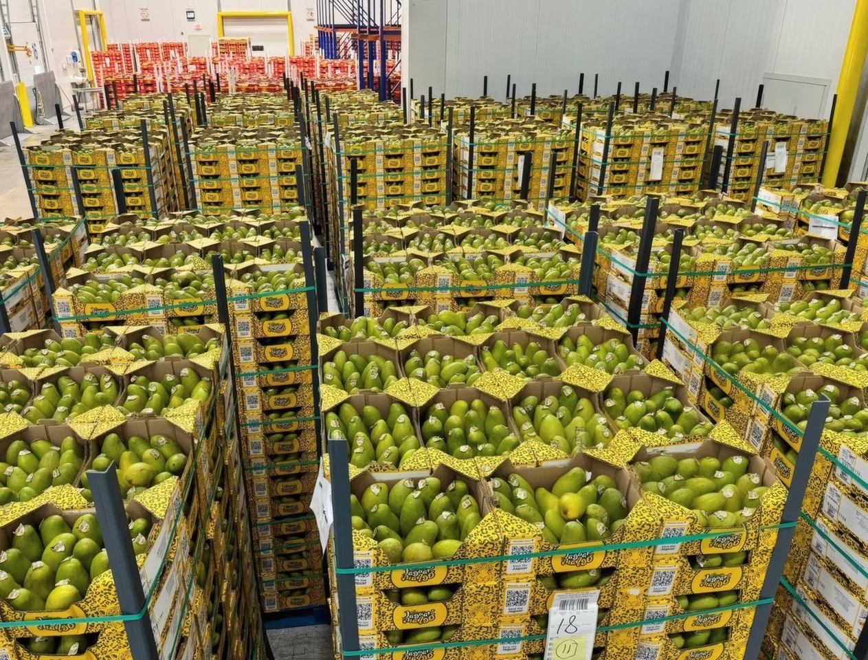 Grupo Espléndido convierte la compra de un mango Jaguar en una experiencia con propósito