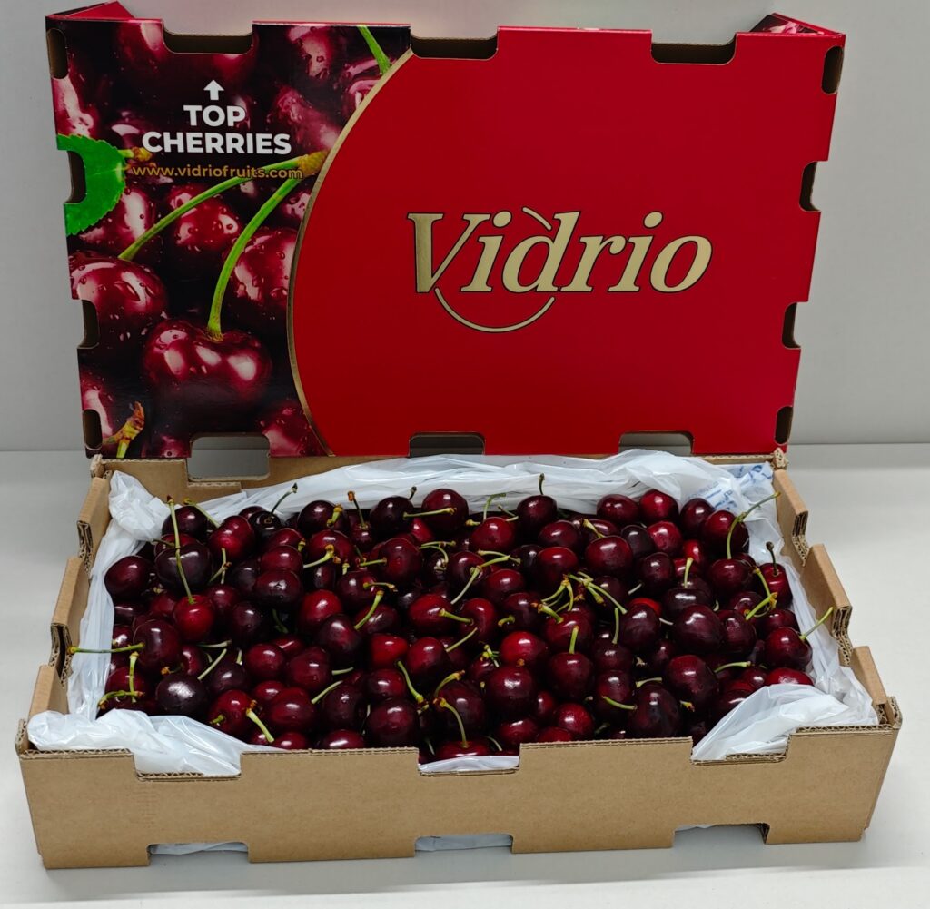 España: Vidrio proyecta más de 20 millones de kilos de cerezas y prepara su debut en China