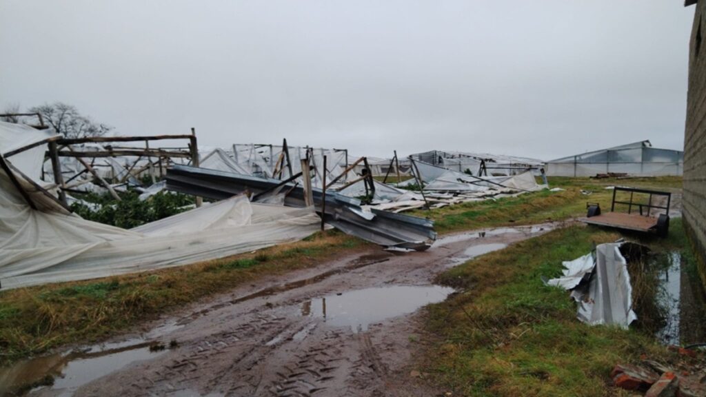 Uruguay declara emergencia granjera en Salto tras temporal que afectó a unos 300 productores