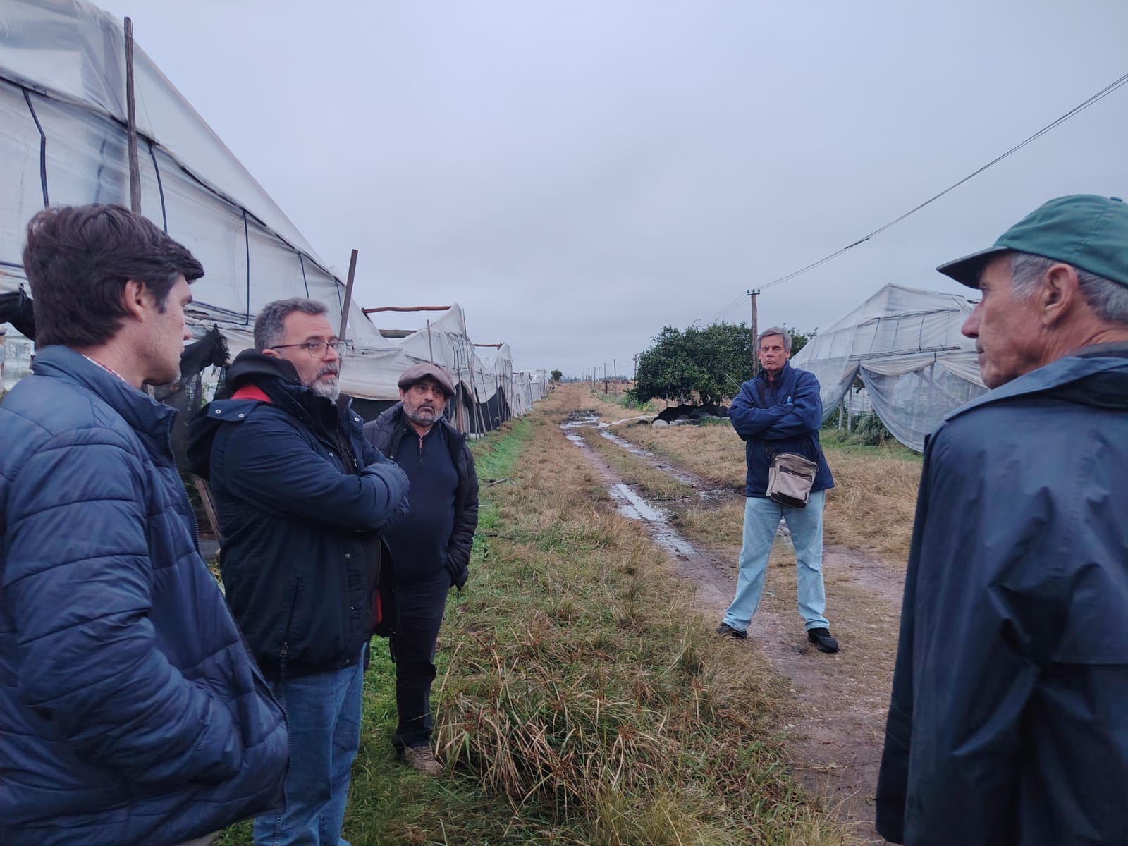 Uruguay declara emergencia granjera en Salto tras temporal que afectó a unos 300 productores 3 Uruguay declara emergencia granjera en Salto tras temporal que afectó a unos 300 productores