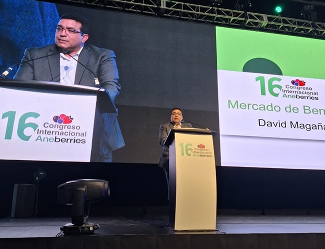 Industria de berries enfrenta mayor incertidumbre global, pero la demanda seguirá creciendo 2 Industria de berries enfrenta mayor incertidumbre global, pero la demanda seguirá creciendo