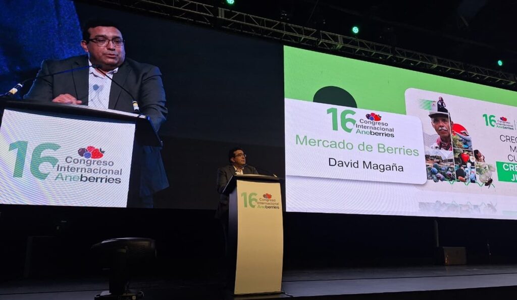 Industria de berries enfrenta mayor incertidumbre global, pero la demanda seguirá creciendo