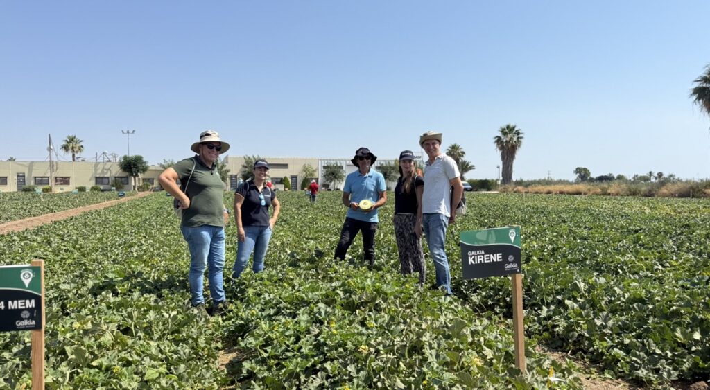 BASF | Nunhems lidera el desarrollo de soluciones en melón y sandía