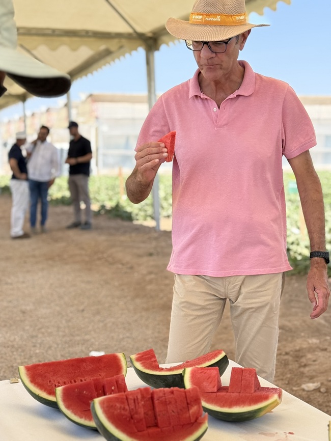 BASF | Nunhems lidera el desarrollo de soluciones en melón y sandía 5 BASF | Nunhems lidera el desarrollo de soluciones en melón y sandía