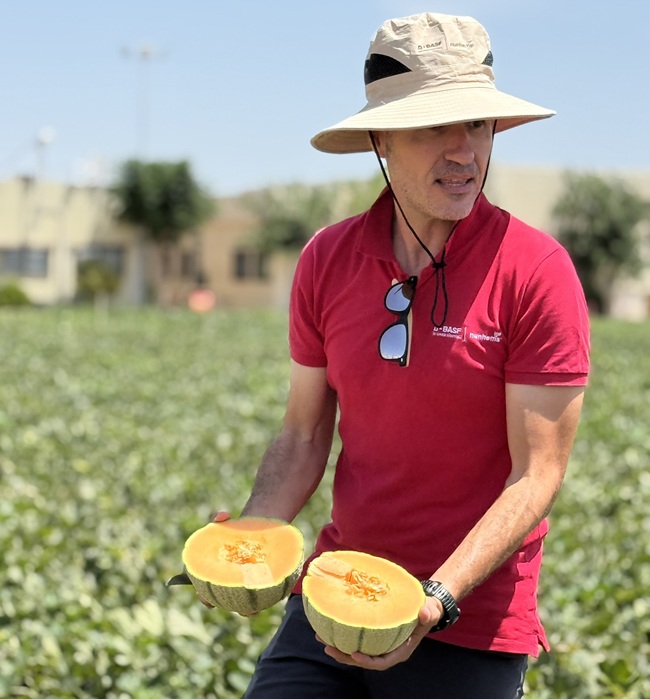 BASF | Nunhems lidera el desarrollo de soluciones en melón y sandía 2 BASF | Nunhems lidera el desarrollo de soluciones en melón y sandía