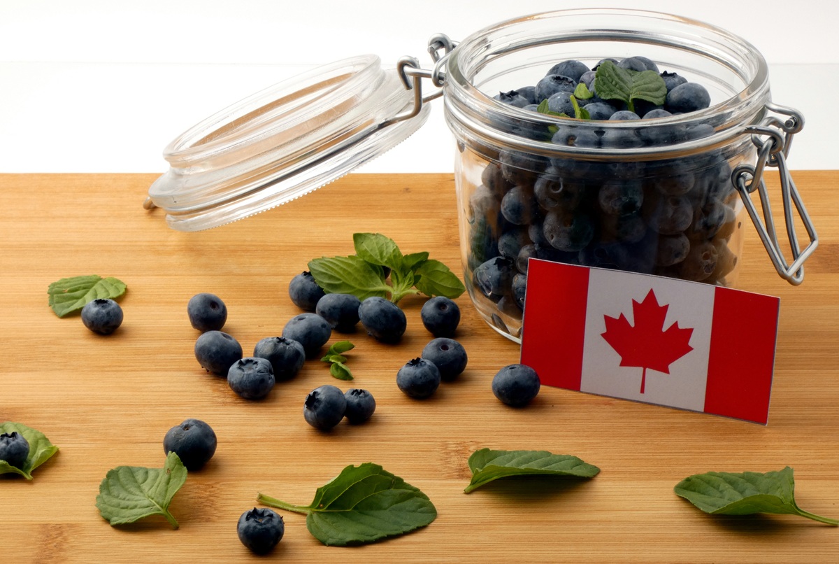 Canadá abre el mercado de Filipinas para sus arándanos frescos