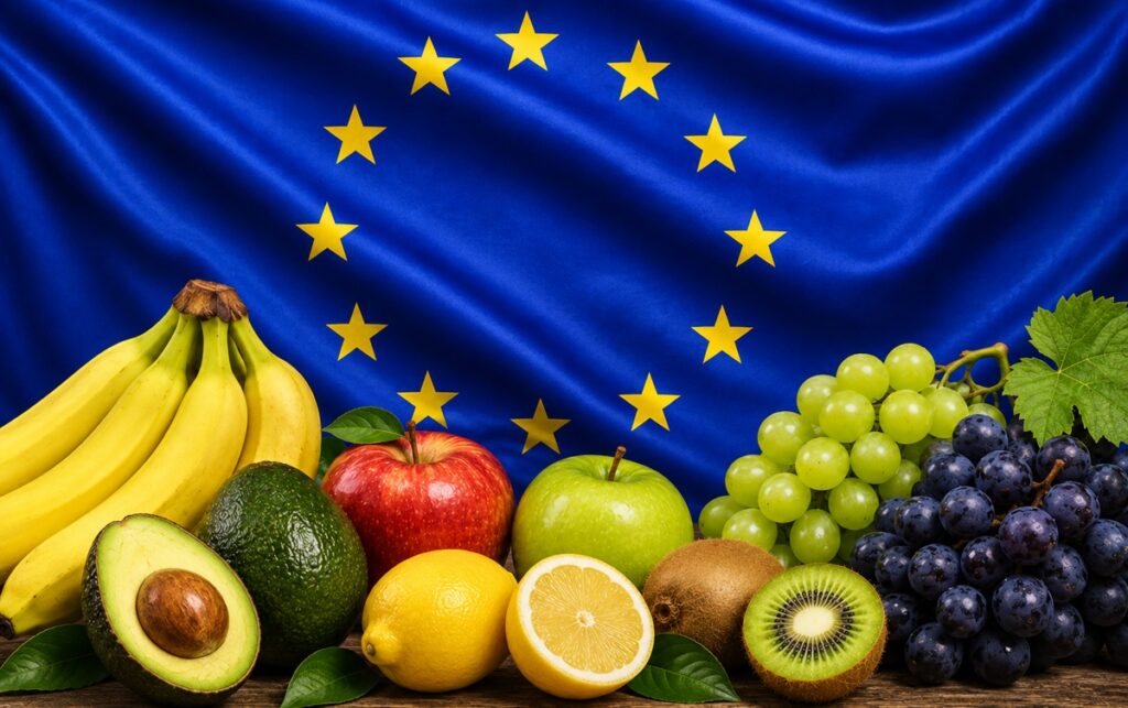 La Unión Europea reafirmó su posición como el mayor importador mundial de frutas en 2025: paltas, bananas y uvas lideran las compras