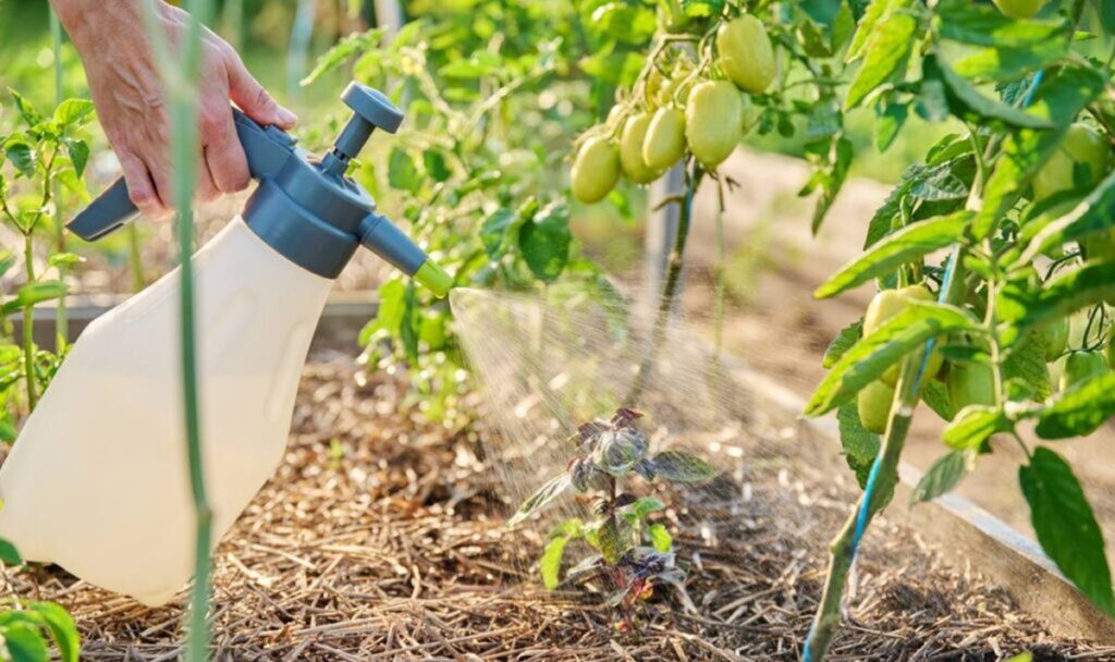 Biofertilizantes: Norteamérica lidera el mercado y Europa acelera su crecimiento