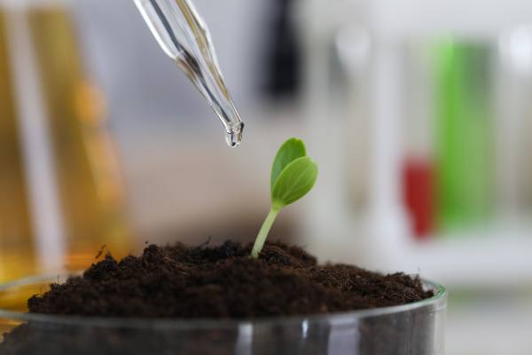 Biofertilizantes: Norteamérica lidera el mercado y Europa acelera su crecimiento 2 El mercado de los biofertilizantes crecerá hasta los US$6.940 millones en 2031