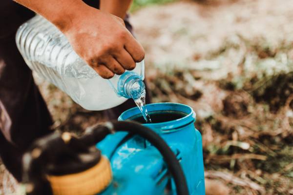 Biofertilizantes: Norteamérica lidera el mercado y Europa acelera su crecimiento 6 El mercado de los biofertilizantes crecerá hasta los US$6.940 millones en 2031