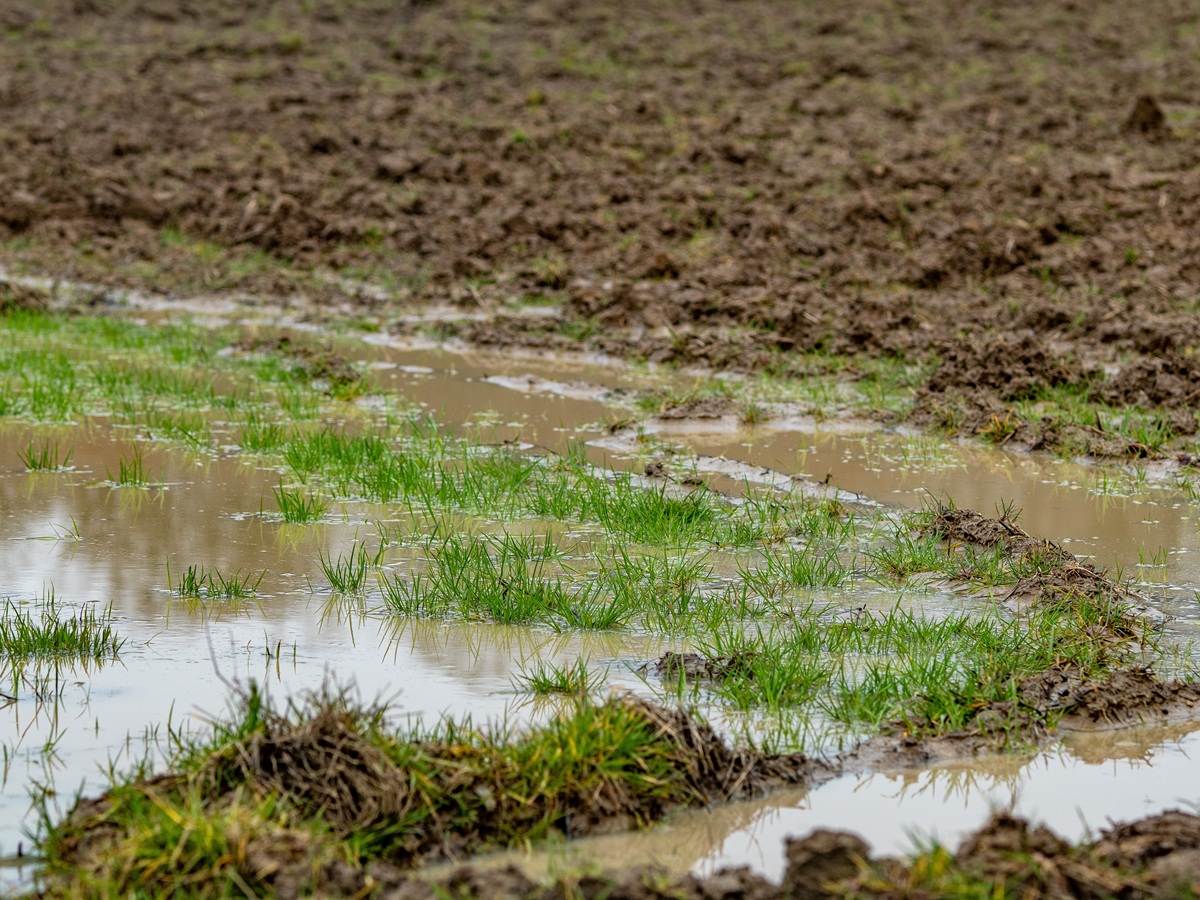 Río atmosférico de alta intensidad pondrá a prueba a la zona central de Chile: expertos llaman a extremar medidas preventivas