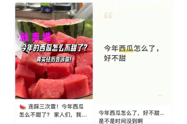 Las sandías poco dulces están hundiendo los precios en China 2 Las sandías poco dulces están hundiendo los precios en China