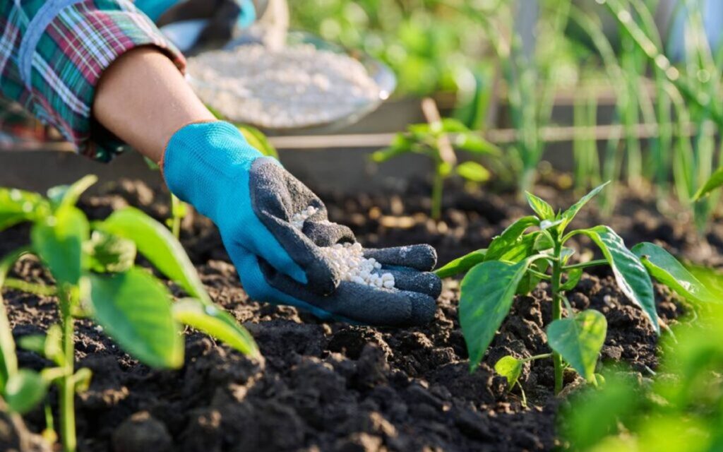Brasil e India figuran entre las economías agrícolas más vulnerables a interrupciones en el comercio mundial de fertilizantes