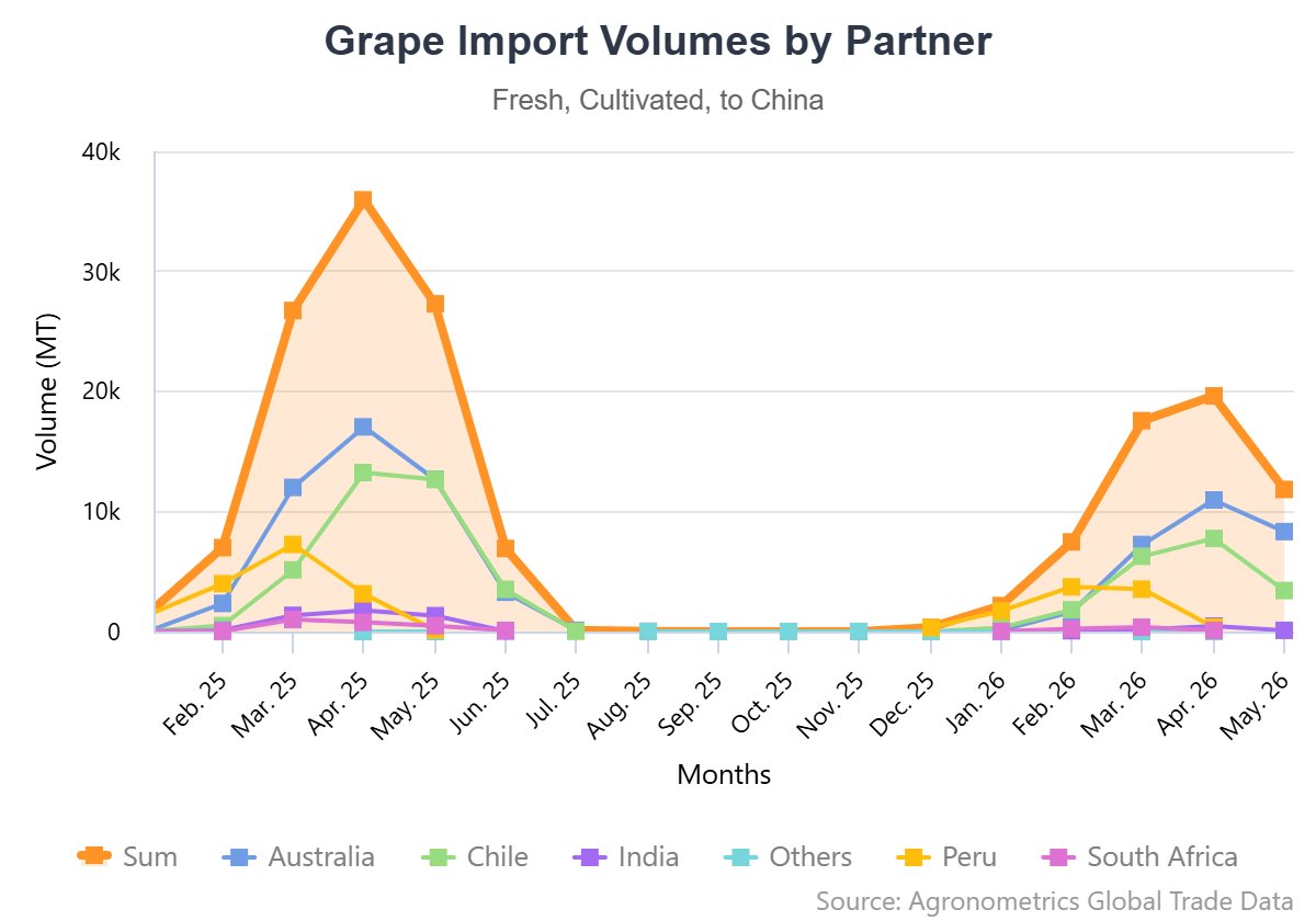 Lo que sobrevive cuando China deja de comprar: la historia de los precios en el comercio de uvas