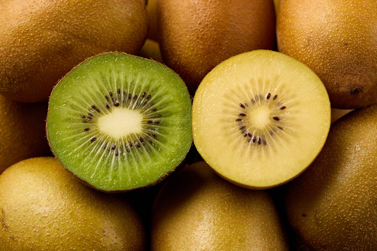 Vietnam abre su mercado al kiwi italiano tras años de negociaciones 5 Vietnam abre su mercado al kiwi italiano tras años de negociaciones