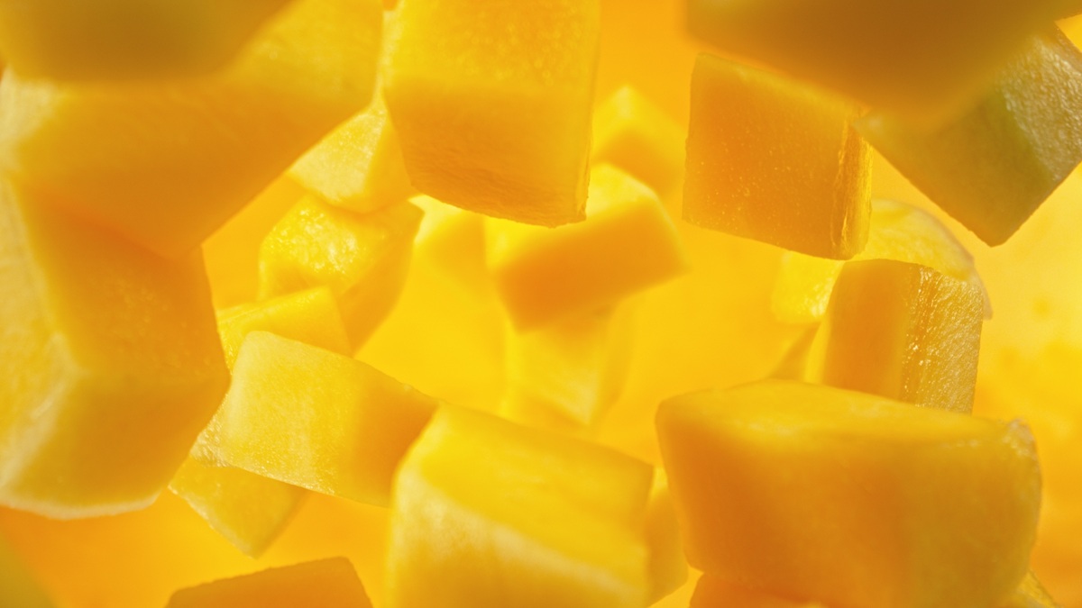 Jalisco impulsa un ambicioso plan para mejorar la sanidad del mango y reducir la mosca de la fruta