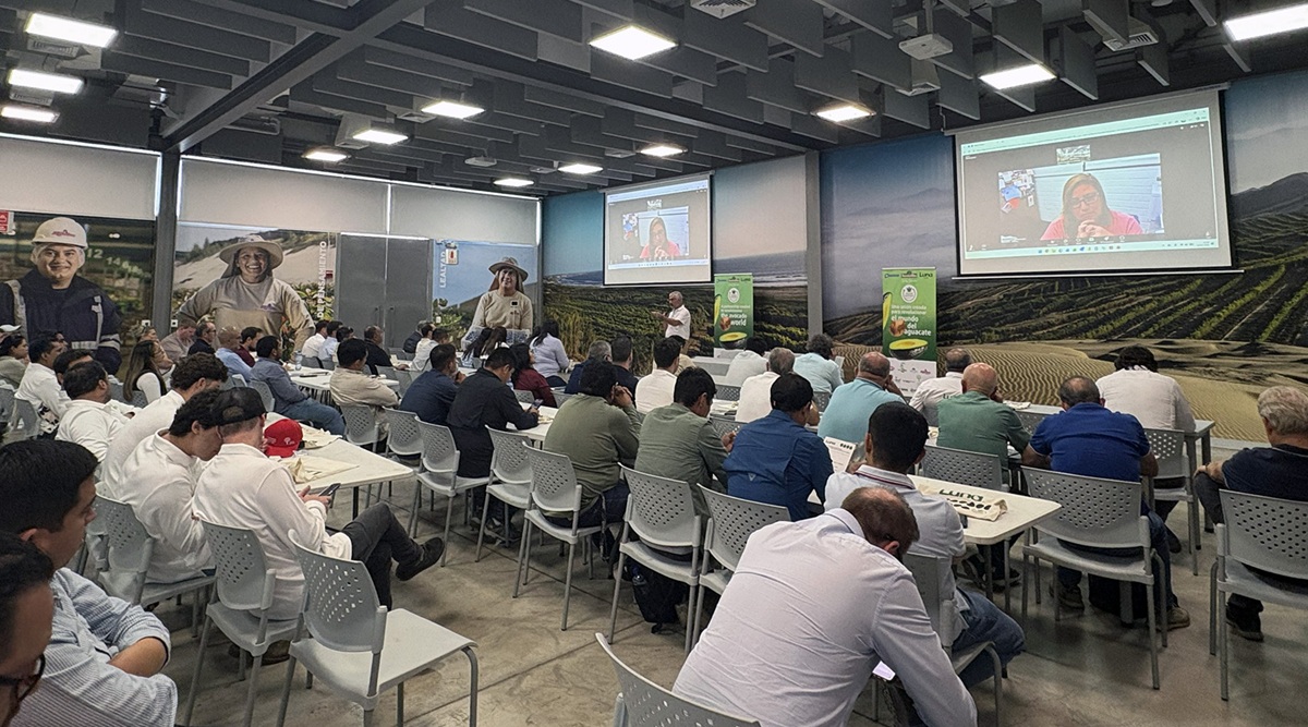 Empresas confirman en Perú el potencial de la nueva generación de aguacates y patrones de Green Motion 2 Empresas líderes del sector confirman en Perú el potencial de la nueva generación de aguacates y patrones de Green Motion