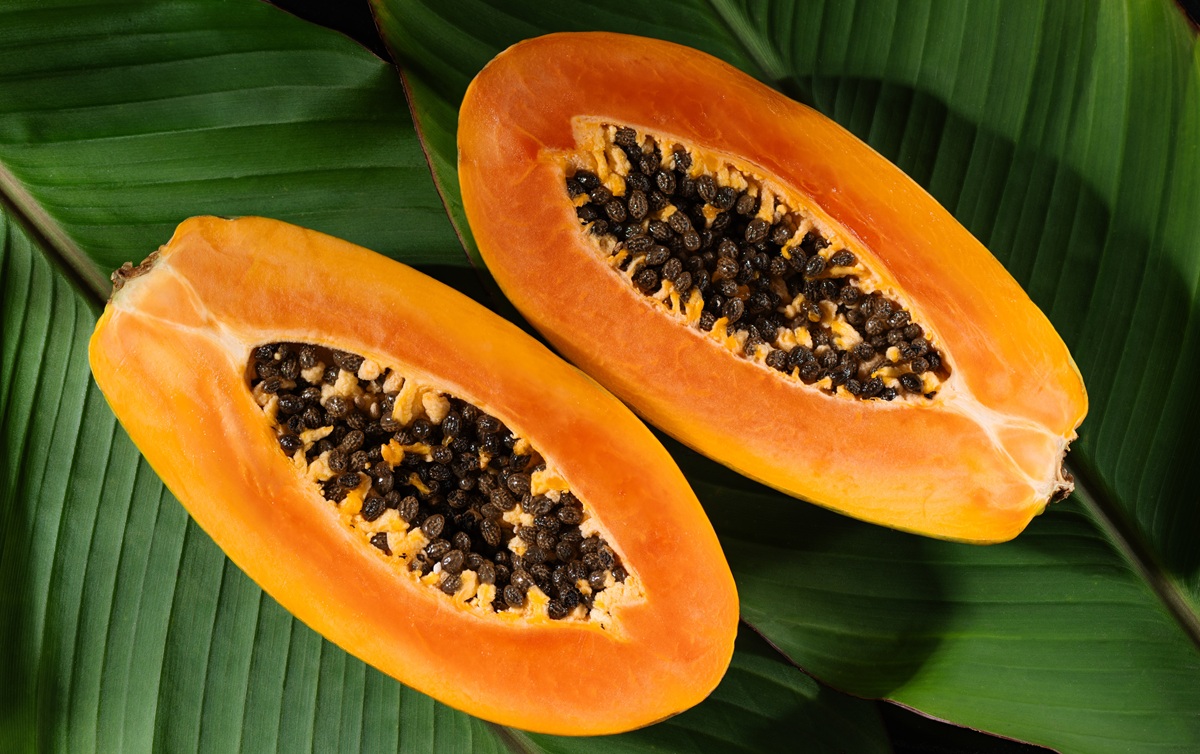 El comercio mundial de papaya acelera su crecimiento y apunta a un récord hacia 2035