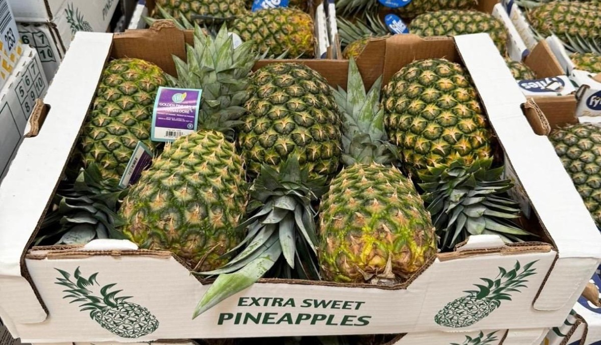 La piña panameña llega a Costco en Toronto y abre nuevas oportunidades de exportación hacia Canadá 4 La piña panameña llega a Costco en Toronto y abre nuevas oportunidades de exportación hacia Canadá