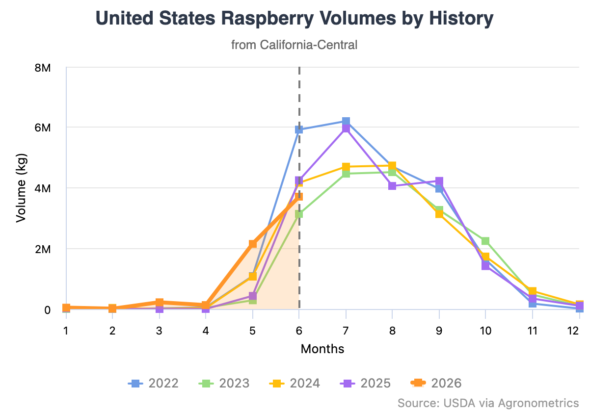 La cosecha de berries de California entra en su máxima producción con las frambuesas liderando el crecimiento 3 La cosecha de berries de California entra en su máxima producción con las frambuesas liderando el crecimiento