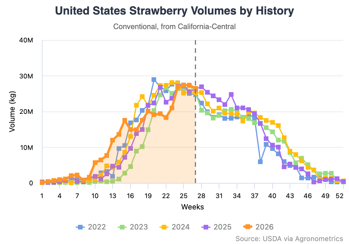 El clima redefine la temporada 2026 de fresas en California 6 El clima redefine la temporada 2026 de fresas en California