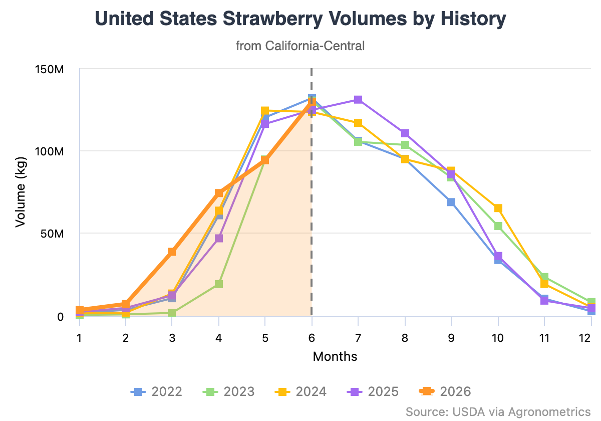 La cosecha de berries de California entra en su máxima producción con las frambuesas liderando el crecimiento 2 La cosecha de berries de California entra en su máxima producción con las frambuesas liderando el crecimiento