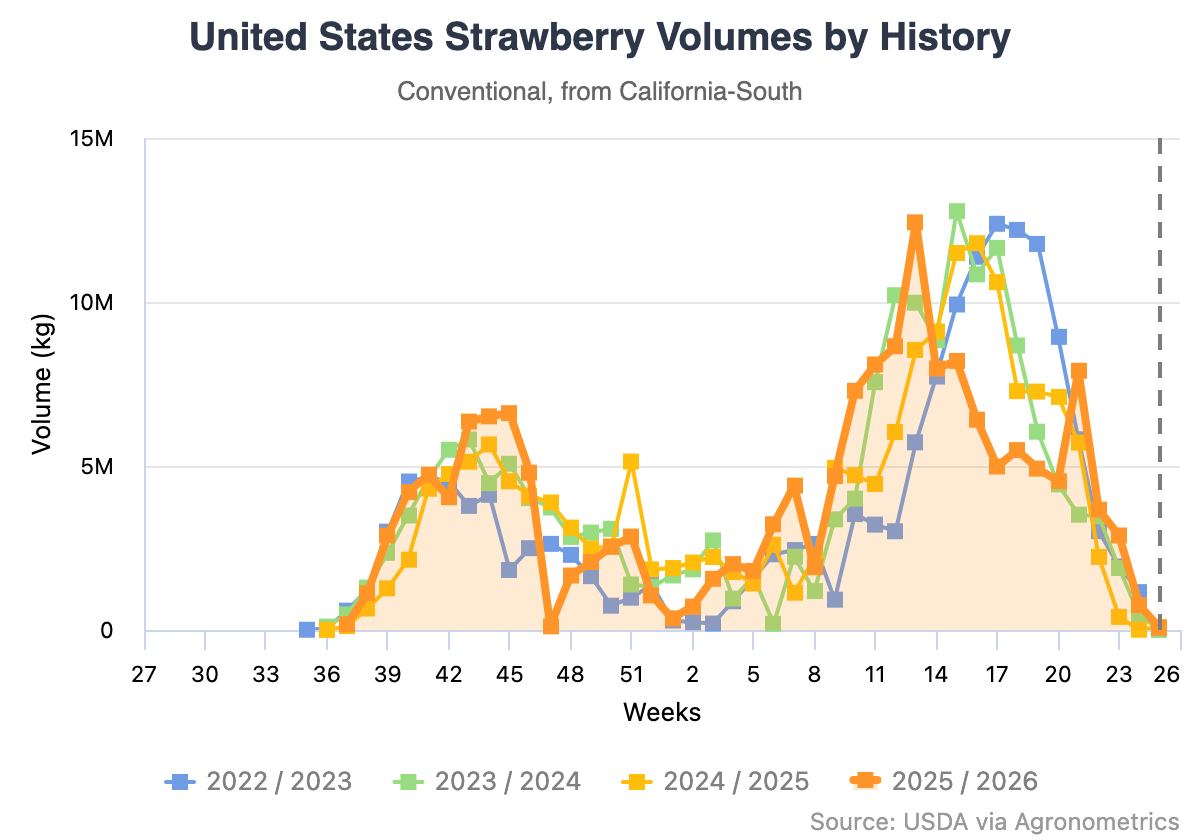 El clima redefine la temporada 2026 de fresas en California 5 El clima redefine la temporada 2026 de fresas en California