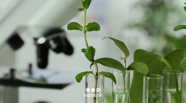 La biología habla y Veganic ha descodificado su lenguaje 2 La biología habla y Veganic ha descodificado su lenguaje