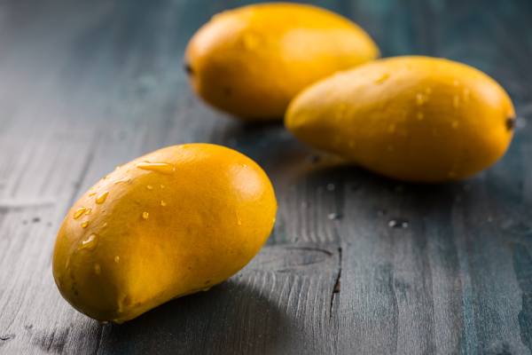 Estados Unidos suspende importaciones de mangos de República Dominicana 3 Estados Unidos suspende importaciones de mangos de República Dominicana