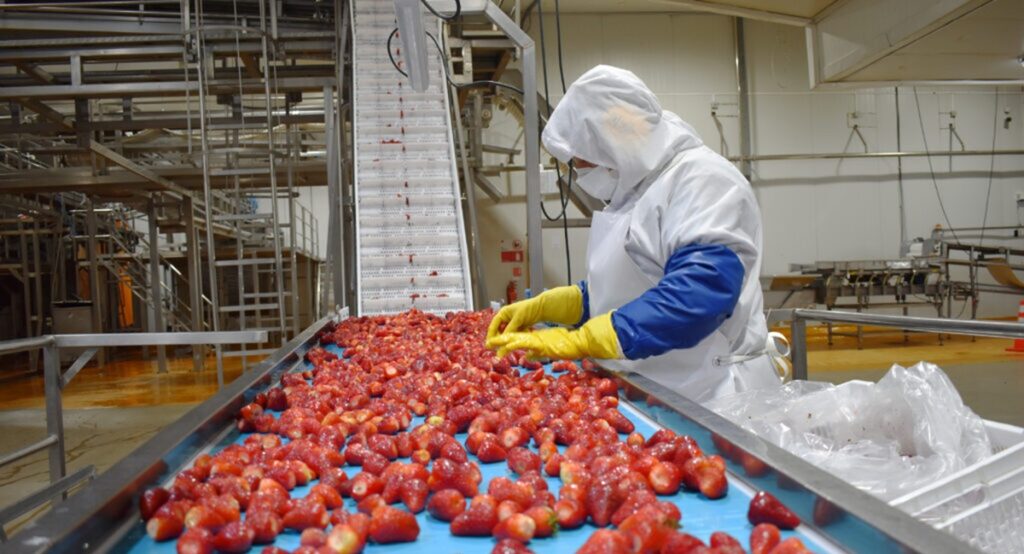 Menos toneladas, más valor en la fruta exportada