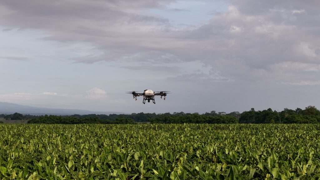 Sector bananero de Costa Rica avanza en capacitación sobre drones y agricultura de precisión
