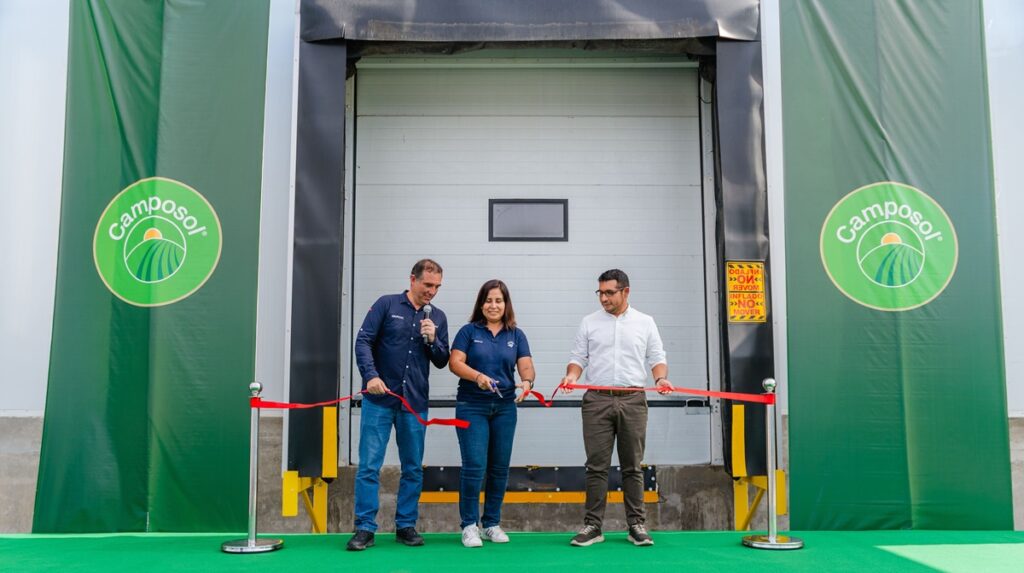 Camposol duplica capacidad de despacho de arándanos en nueva instalación en Chao
