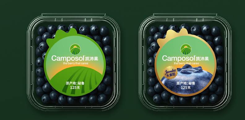Camposol inicia campaña de arándanos a China y consolida marca Kai Péi Guǒ 2 Camposol inicia campaña de arándanos a China y consolida marca Kai Péi Guǒ