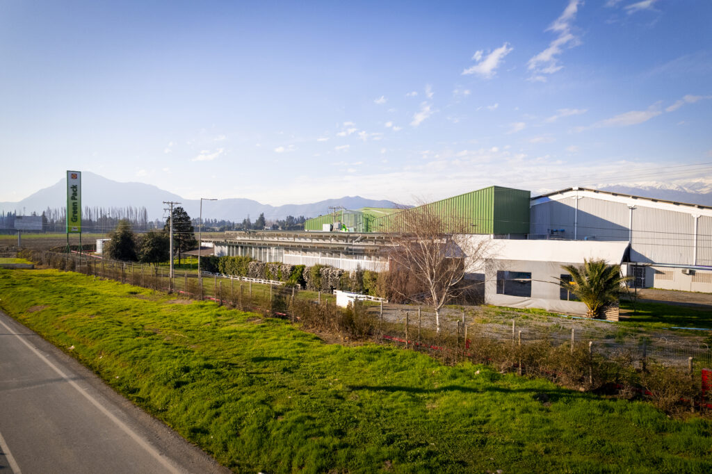 Green Pack: la solución tecnológica y estratégica para los procesos de exportación de fruta en Chile