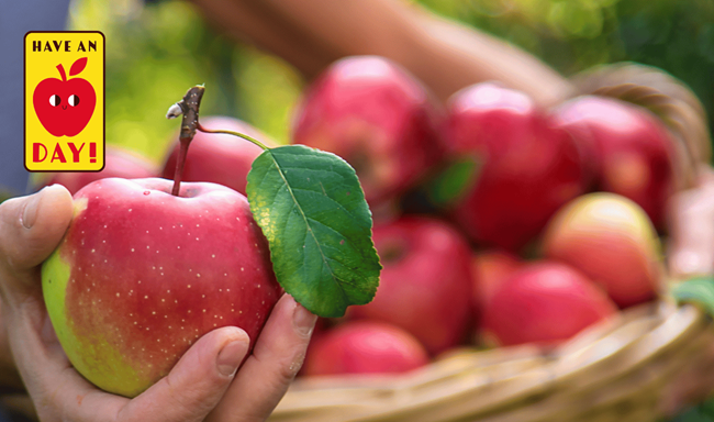 Cada vez llegan más manzanas europeas a Colombia: la distancia dejó de ser una barrera comercial