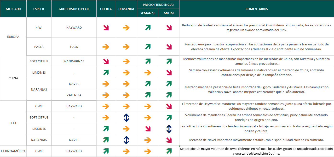 Estado del Mercado - semana 31: mayor volumen de kiwis chilenos en México 2 Estado del Mercado semana 32