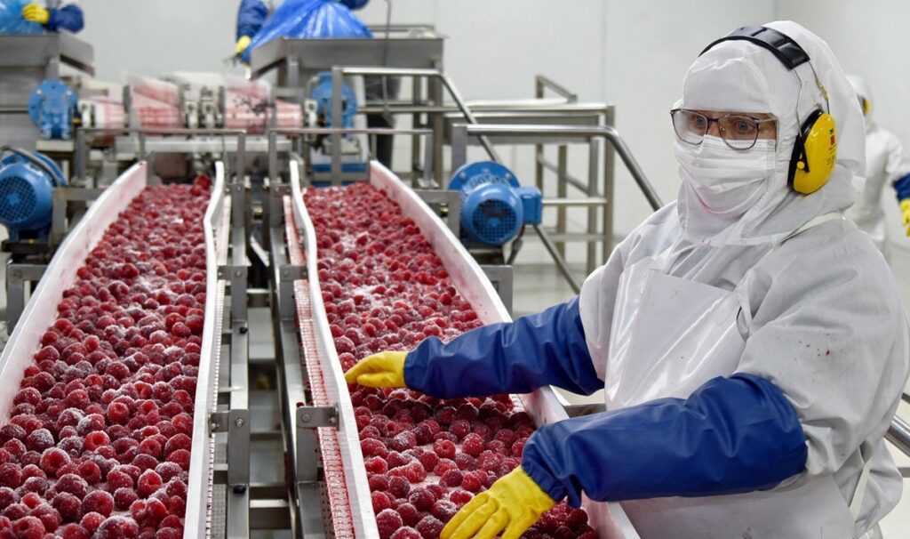 Agroindustria chilena cambia su mapa de destinos: Europa aumenta su participación