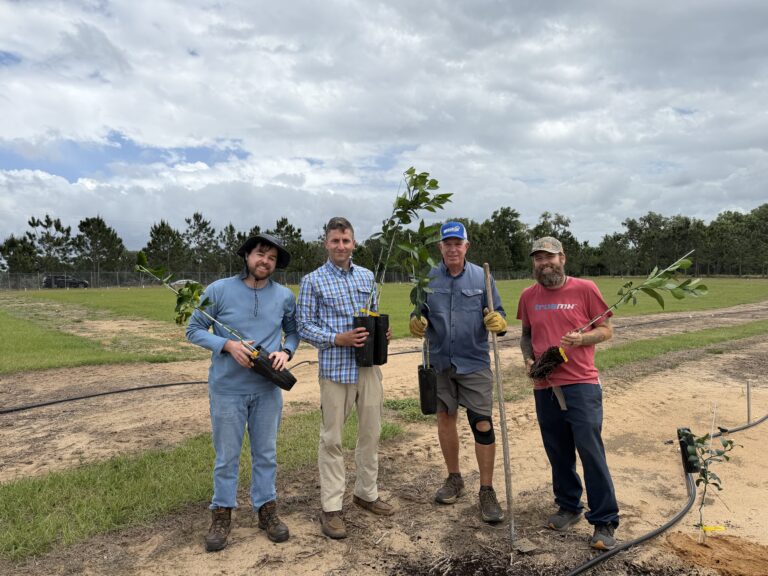 Soilcea inicia el despliegue comercial de un portainjerto resistente al HLB tras recibir la aprobación federal en Estados Unidos 3 Soilcea inicia el despliegue comercial de un portainjerto resistente al HLB tras recibir la aprobación federal en Estados Unidos