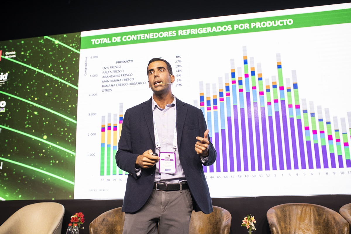 Perú transforma su industria de uva de mesa: dominan las variedades licenciadas, se proyectan más hectáreas y la conquista de nuevos mercados 
