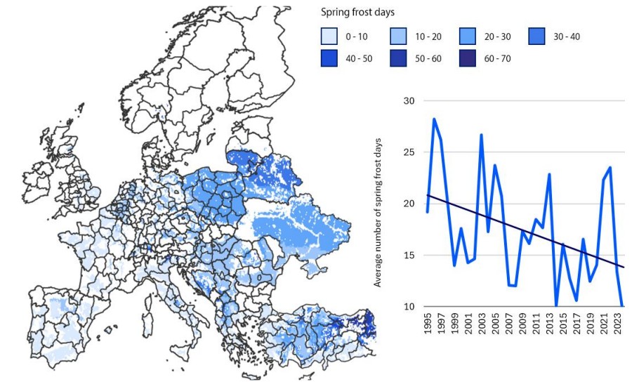 Rabobank advierte: el cambio climático está redibujando el mapa frutícola de Europa 4 Rabobank advierte: el cambio climático está redibujando el mapa frutícola de Europa