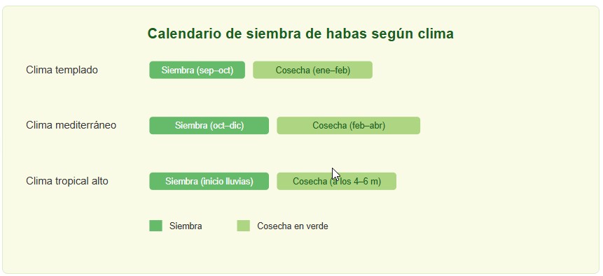 cultivo de habas