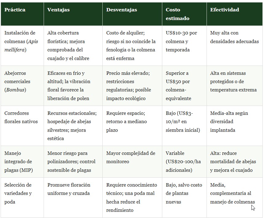 polinización en arándanos
