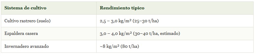 melón en espaldera