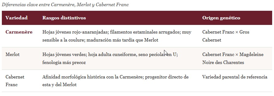 Filoxera y Carmenère