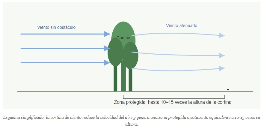 cortinas de viento