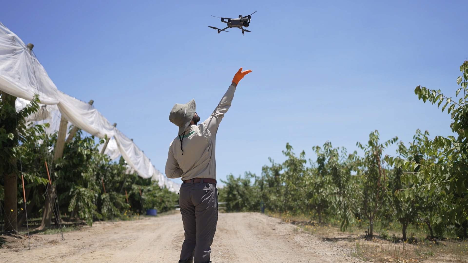 Jorge Álamos, gerente general de Dronespray: “La inteligencia artificial ya está en los campos chilenos” 4 Jorge Álamos, gerente general de Dronespray: “La inteligencia artificial ya está en los campos chilenos”