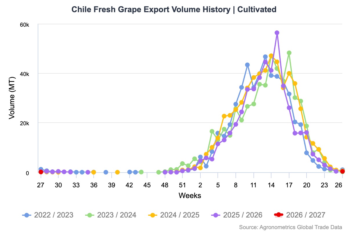 ¿Es esta la oportunidad que los productores de uva de mesa del norte de Chile estaban esperando?