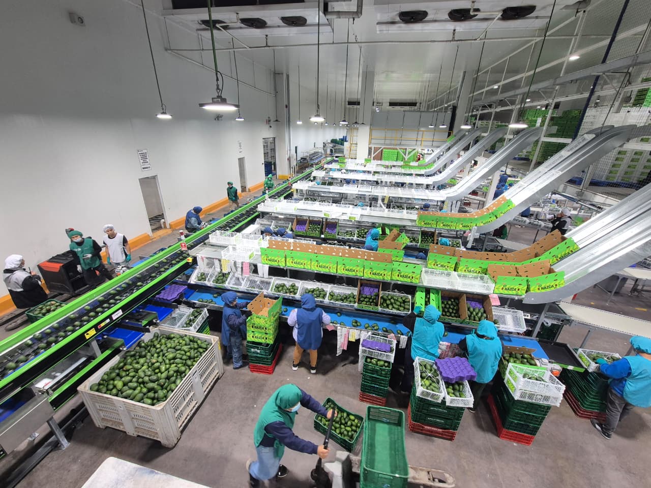 Instalaciones de Agrolatina